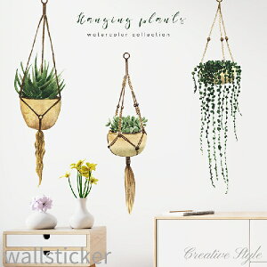 EH[XebJ[ A hanging plants  O[  t Ǐ CeA V[ diy ǎ V[ k IV a  Lb` gC rO Q X p At@xbg  