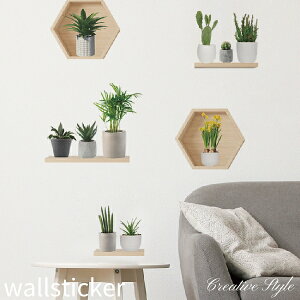 EH[XebJ[ plants  shelf  Aؔ    A O[  Ǐ CeA V[ ǎ V[ k IV diy ǎ oX[ Cɓ\I v[g 