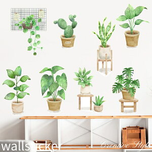 EH[XebJ[ plants life    A O[  t  JtF Ǐ CeA V[ diy ǎ V[ k IV  Lb` gC Q rO  R oX[