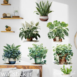 EH[XebJ[    A EH[V[ diy ǎ V[ ǃfR O[  JtF Lb` gC t  Ǐ EH[V[ CeA V[ k IV i