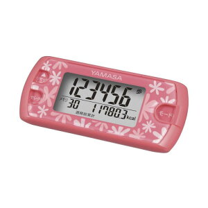 R(YAMASA) v |PbgEobOCv |Pbg EX-500