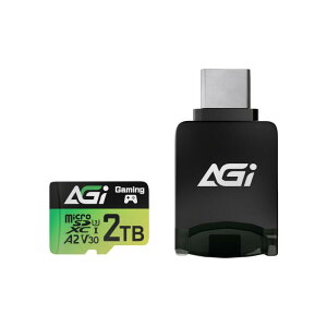 AGI TF138 Micro SDXC�J�[�h