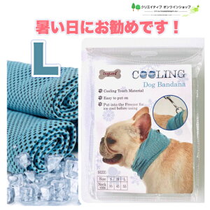  N[ p MǑ΍ Ђ ₽  ⊴ ۗ ڐG⊴  ėp ĕ o_i ^I N[o_i N[[ p ^ ^ bV XJ[t hbN 킢 