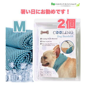 2  N[ p L MǑ΍ Ђ ₽  ⊴ ۗ ڐG⊴  ėp ĕ o_i ^I N[o_i N[[ p ^ ^ bV XJ[t hbN 킢