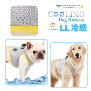  N[ p MǑ΍ p n[lX xXg  ⊴ ۗ Ђ ₽  ڐG⊴  ėp ĕ LLTCY ^  킢 bV _bNXth Č pO