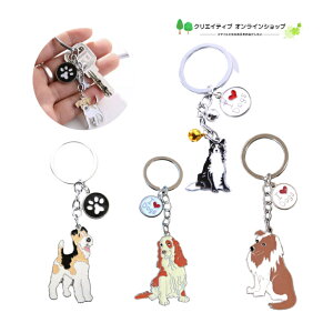  {[_[R[ R[ XpjG zbNXeA L[z_[ L[O `[ obN`[ ANZT[ 킢  G  G ybg ybgpi  ̎q 