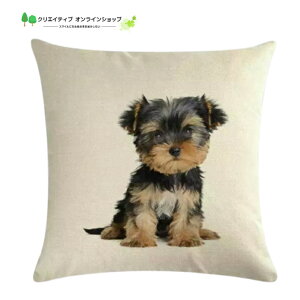  NbVJo[ [NV[eA [L[   킢 G G ObY ObY fUC   Aj}   CeA rO \t@[ 45cm 