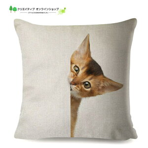 L NbVJo[ L qL 킢  LG G LObY LObY gL gL  Aj}  ˂ CeA L rO \t@[ Ђ 45cm v