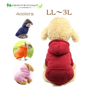     p[J[ g[i[ ^  hbNEFA AEghA t[ht Vv X|[eB[ 킢 ybgEFA ̕ gCv[h pO  sN I