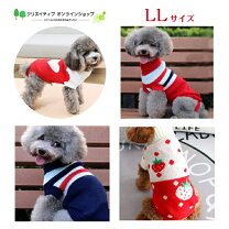 楽天市場】犬服 赤服 ハートの通販