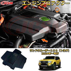 N250 GWveN^[ GW[Jo[ wbh ՉՔM hXAbv ԗpK[jbV ANZT[  J[p[c JX^ p[c h~ LYh~ K