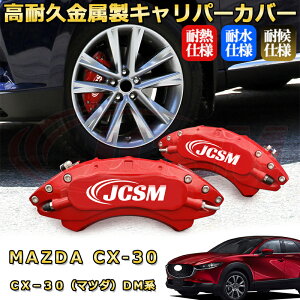 CX|30i}c_jDMn u[LLp[Jo[ ԎΉp݌v A~jE O䕪Zbg ȒPt ϋv ho O ^C zC JX^ J[p[c   17