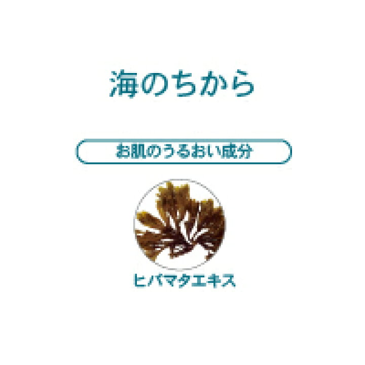 楽天市場】【メーカー公式店】フィットボーテクレシェ セリュリクリーム 150g<ボディ用クリーム> : CRE CHEZ online shop 楽天市場】【メーカー公式店】フィットボーテクレシェ セリュリクリーム 150g<ボディ用クリーム> : CRE CHEZ online shop
