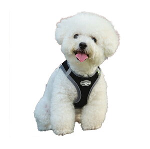 Lpn[lX  L Lpi n[lX U ybgpi LObY S K ubN