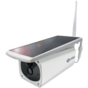 �I�����W�u�b�N �g���X�R���R �O�����V�[���h�@�h�ƃJ�����@�G�R�E�A�C02SE GSSLB02 2598