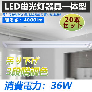 y20zy4000lm! ŋق̌ʂz LEDx[XCg 1219mm 40W dF F F 40`u×2 ttxmLEDx[XCg 40W^ txm` Ɩ V uZb