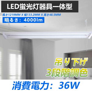 txm^u 2 LEDu 40w` ̌^ {ݏƖ 40`×2 V䒼t^ ǌu ̌` LEDx[XCg Px 4000lm 36Wd Vp LEDƖ V[OCg L