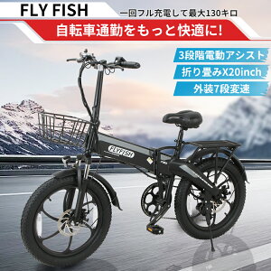 2025Vo dNXoCN ܂肽ݎ] 20C` dAVXg] AVXg] E-Bike JSt ] }EeoCN ] eoCN E-BIKE ω׏d150kg 3.0HE ɑubNp^