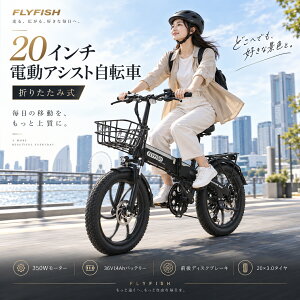 �^���F��l�� �������s�\ FLYFISH �d���A�V�X�g���]�� �܂肽���� 20�C���` ���^�d���A�V�X�g���]�� �ő呱�s����80km 20inch �܂肽���� �A���~�t���[�� ���a�� �ɑ��^�C�� �~�j�x�� �����t�� 
