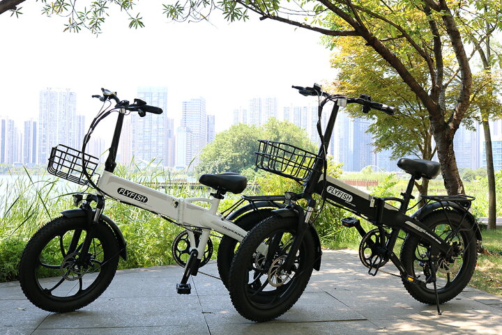 楽天市場】【型式認定取得済】 2024年モデル 電動アシスト自転車「X20 