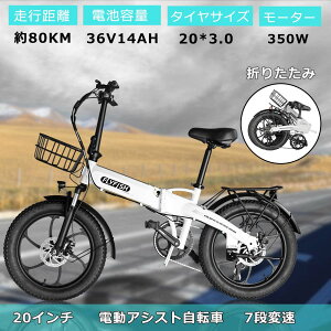 �y�y�V�ň��l����E���������z20�C���` FLYFISH �A�V�X�g���]�� �d�����]�� �d���A�V�X�g���]�� �܂肽���� 350W���[�^�[ �ő�80km���s �������Ȑ܏�� �d�����[�h�o�C�N �d���t�@�b�g�o�C�N 
