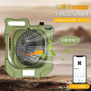 2025Vi Av lC Lv@ [d 12800mAheʃobe[ Type-C[d ㉺ ^  U @ AEghA @ Ղ R[hX t@ ^ѕ֗ 