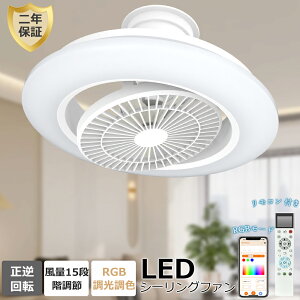 y2025ÉEߓdEt]zV[Ot@Cg 10~12 led t@tƖ 50cm@ RGB[h AlexaEGoogle HomeΉ V[Ot@ ʏ Eߏ VƖ k @ VƖ 