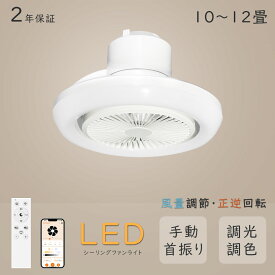 シーリングファンライト led シーリングファン ファン付き照明 6畳 8畳 10畳 調光調色 風量切替 リモコン付 空気循環 扇風機 逆回転機能 DCモーター サーキュレーター シーリングライト 一台二役 天井照明 Alexa/Google対応 省エネ 節電 家庭用 リビング 寝室 部屋 工事不要