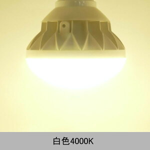oXgXⓔ LED E26^ PAR38^ 25W 5000lmi[j LEDⓔ ⓕ IP65hho Ŕ Op h LEDⓔ ⓔLED֌ LEDd LED Lp ^Ή 250Wⓔ