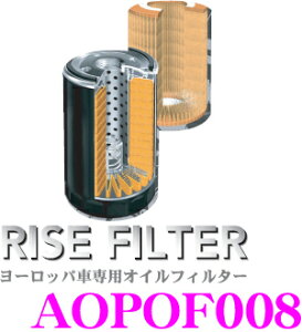 _X2_wŃ|Cg5{I3_10{I^}\RISE FILTER CYtB^[ AOPOF008 i[bpԐpICtB^[ yBMWz