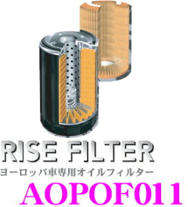 y36HzI|Cg10{RISE FILTER CYtB^[ AOPOF011 i[bpԐpICtB^[ yxcz