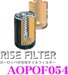 yقڑSiP5{IC[OXӍՁzRISE FILTER CYtB^[ AOPOF054 i[bpԐpICtB^[ y|VFz