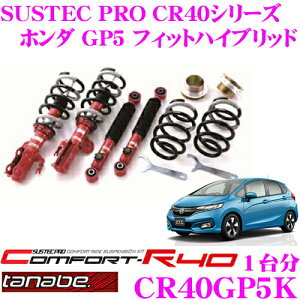 _˓IقڑSiyP10{z 30^ TANABE ^ix ԍ CR40GP5K z_ GP5 tBbgnCubhp AV[g lWԍTXyVLbg TXebNv CR40 KIT 