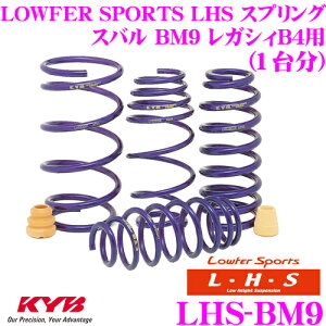 y11/1z_قڑSiP10{I^KYB Lowfer Sports LHS XvO LHS-BM9 Xo BM9 KVB B4p yLHS3509F×2 LHS2510R×2 1䕪 4{Zbgz