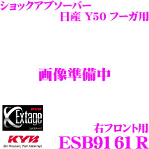 yX|Cgő39{vGg[ 2020~zKYB Extage ESB9161R Y t[K Y50pVbNAu\[o[ Etgp
