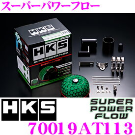 HKS スーパーパワーフロー 70019-AT113 トヨタ 60系 ノア ヴォクシー用 むき出しタイプエアクリーナー