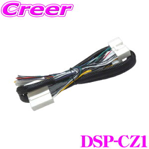 r[g\jbN TOON XV[Yp DSP-CZ1 }c_ ir ڑn[lX (24s) IvVp[c 2m Hsv z ȒP t