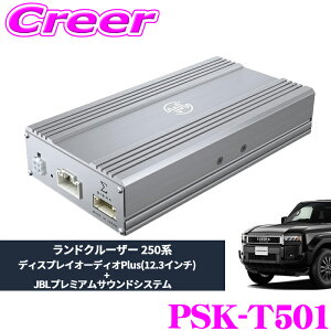 _20l1l^5000ptQbg̑`XIy~241:59zr[g\jbN PSK-T501 v~ATEhǉLbg hN[U[ 250 fBXvCI[fBIPlus(12.3C`) JBLv~ATEh