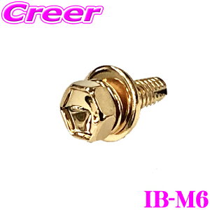 _20l1l^5,000ptȂɁIy1920`zICE BOLT ACX{g IB-M6 A[X{g M6×15mm