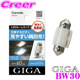 カーメイト BW30 GIGA LEDルームランプ E60S 6500K 60lm T10