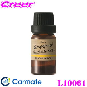 yقڑSiP10{ȏIs̓zJ[Cg luno [m L10061 VR B ICGF  tOXfBt[U[p VRuhIC O[vt[cuh F