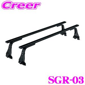 _˓IقڑSiyP10{z 30^ ylOKIzbL[vX [tLA ڕp SGR-03 ^EG[X CgG[X mA 20n 30n W[t X`[ ubN Ɩp 