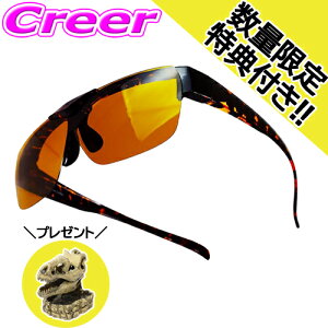 yˏグhCrOTOX f~ CG[Y + ^KlX^hz hT 䌧Y O UV100%Jbg ΌY Όx99 X|[c St ނ GMO oR [