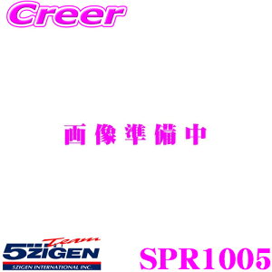 5ZIGEN }t[ Y E-BNR32 XJCCGT-R p ̎Ԏʐp݌v SP SPEC STREET V[Y SWQ X|[c XyV}t[ GL][XgVXe ԌΉ Opi GNXeA