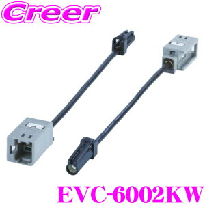 yقڑSiP10{ȏIs̓zENDY EVC-6002KW TVAeiϊR[h PEbhAVirp