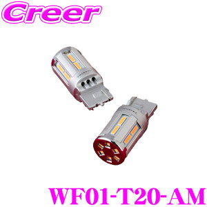 @eB WF01-T20-AM WGLEDECJ[ou tF[hAEgCg T20 400[ ECJ[v 2 ԌΉ