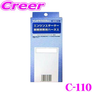 y31zقڑSiP5{se C-110 }c_pGWX^[^[pn[lX