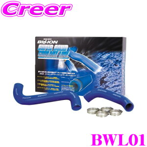 yIXقڑSiP5{11/17 23:59zBILLION rI WG[^[z[X BWL01 rIX[p[\bhN[gC Y PS13 / RPS13 VrAp z[Xoht ϖc/cu