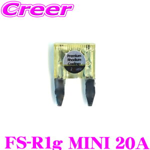 y48Hz撅5OFFN[|zzF2Music ATOq[Y FS-R1g MINI 20A 3wv~AWER[eBO MINIq[Y(~j^q[Y)