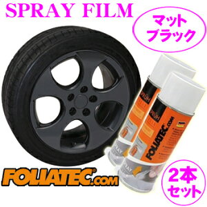 FOLIATEC tHAebN SprayFilm }bgubN2{Zbg(iԍF702060) hĂ͂Xv[tB ye400ml×2/zC[4{z